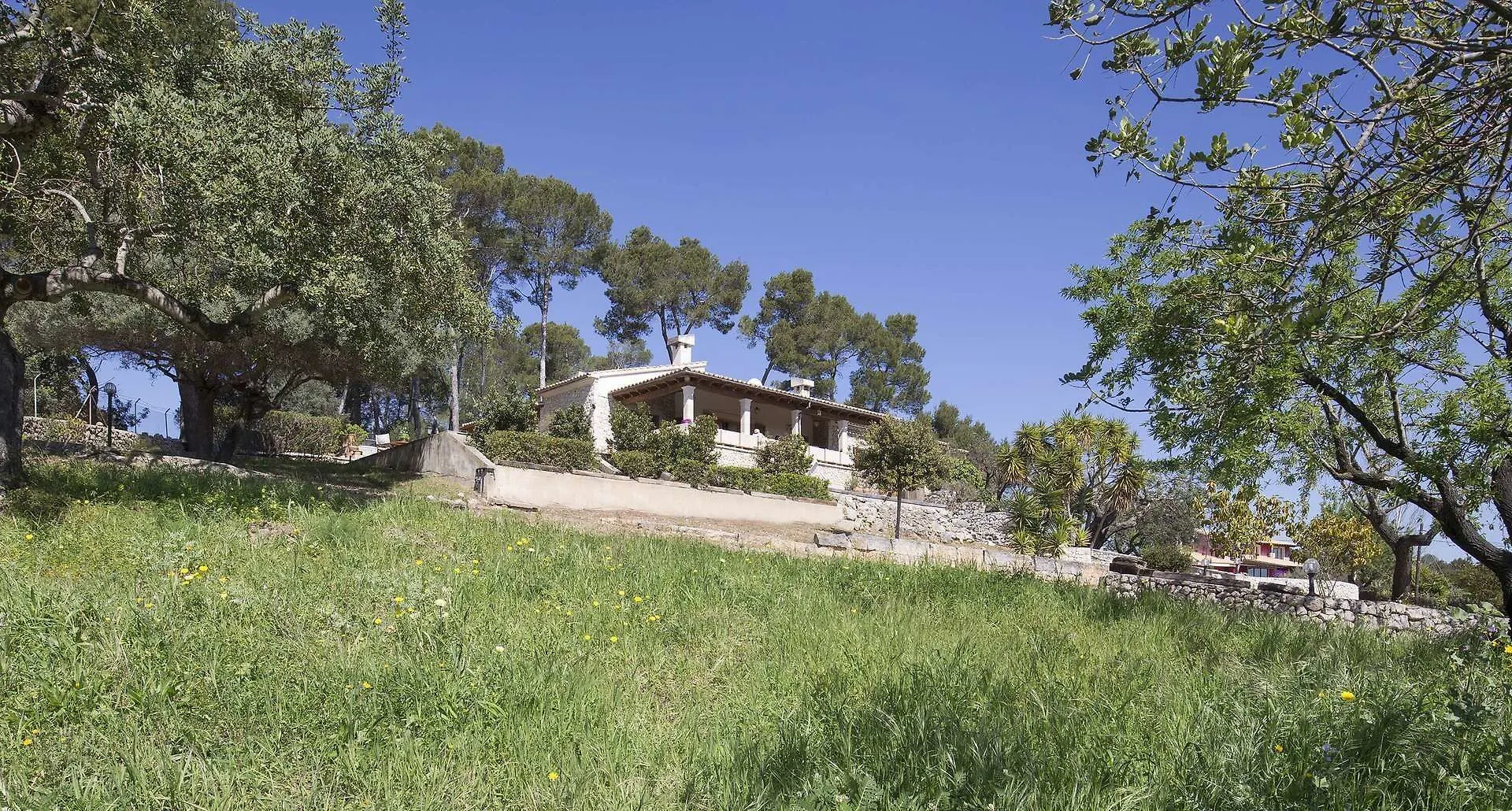 Villa Finca Es Bosquet